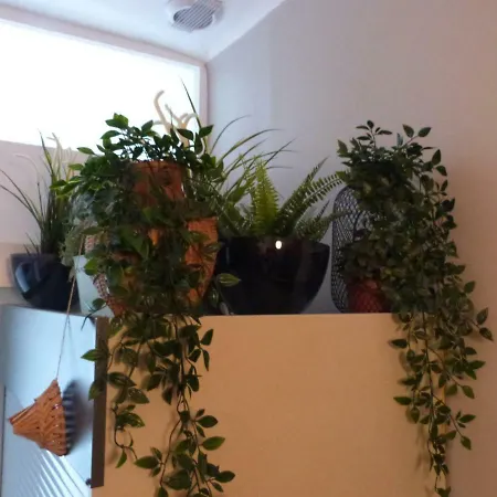 D'hotes La Grotte De Voltaire B&B 낭트